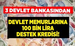 Ziraat Bankası, Vakıfbank ve Halkbank’tan devlet memurlarına 100 bin lira destek kredisi