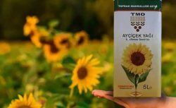 TMO’dan 75 TL’ye satılık Ayçiçek yağı! 5 Litre yağ kapış kapış gidiyor