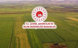Milli Emlak duyurdu: 16 bin TL’ye tarla satışı başladı
